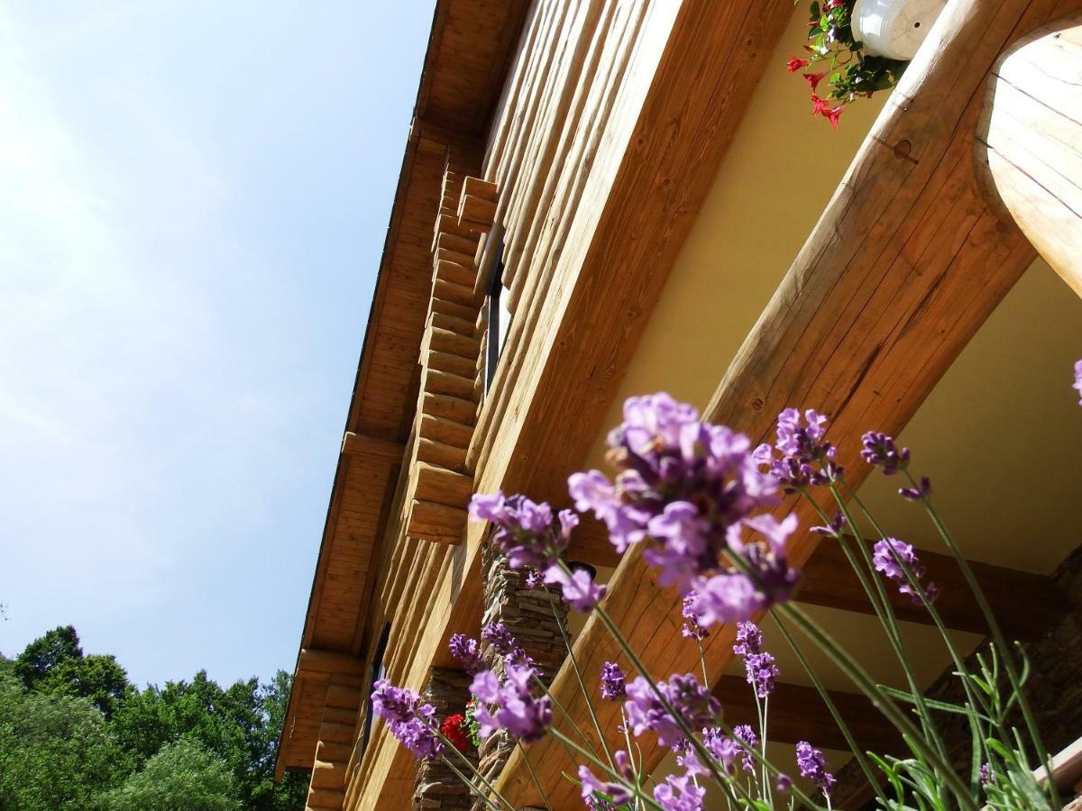 Casa Din Vale Hotel Sacuieu Ngoại thất bức ảnh